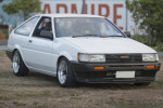 levin