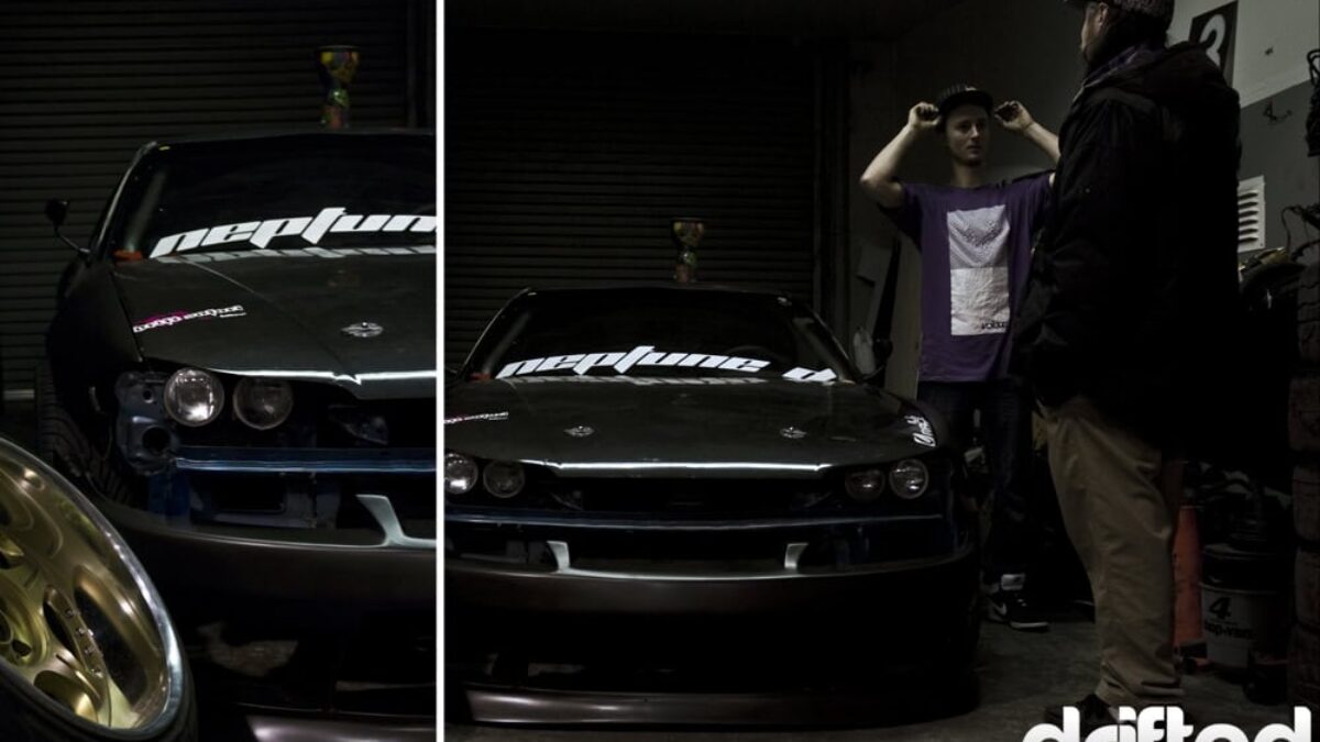 goodnight, sweet prince... SNAPSHOT: Hibernation - Image 3
