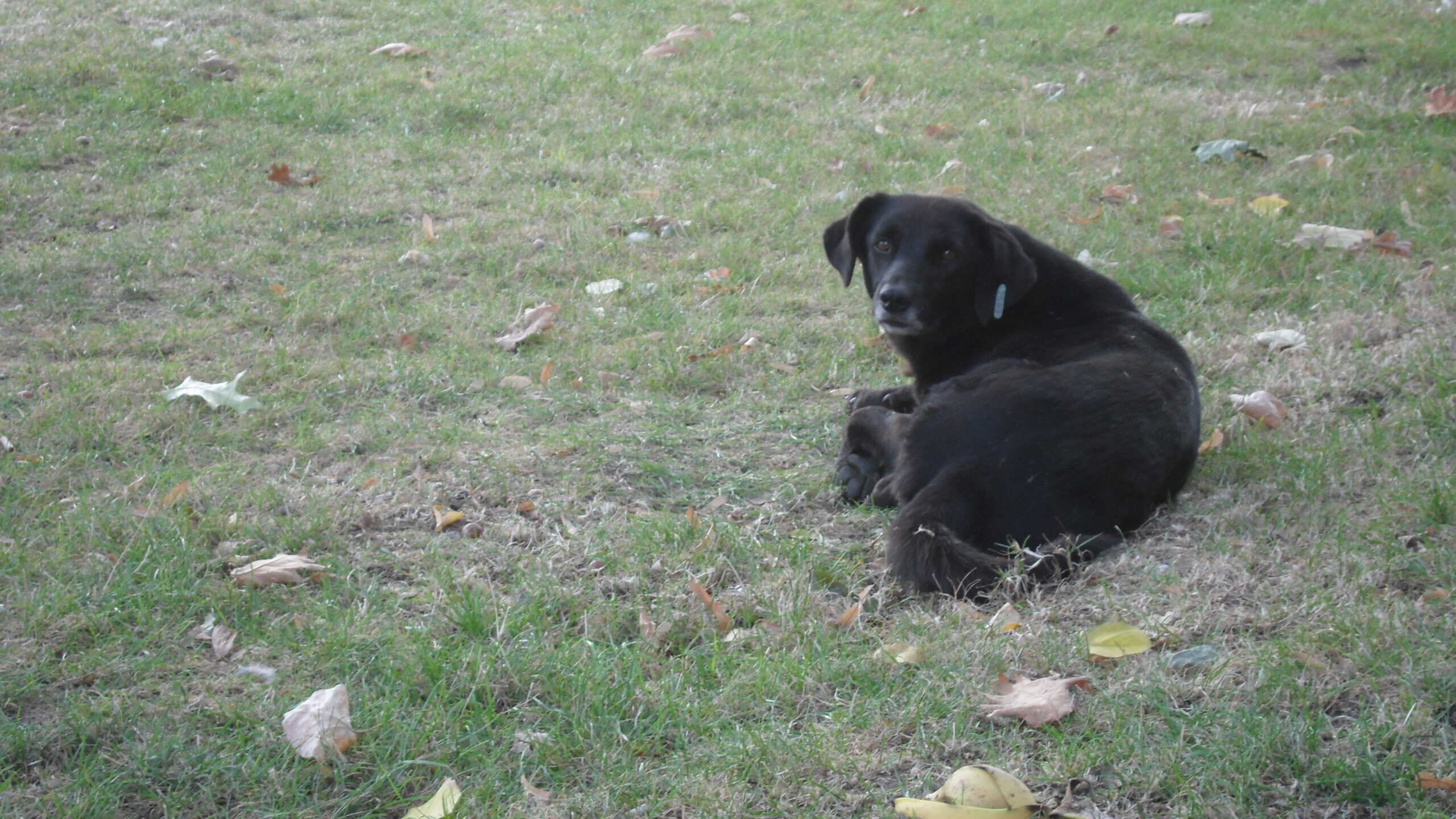 DRIVER BLOG: Fredrik Oksnevad - Drift Grand Prix Romania - Image DRIVER BLOG: Fredrik Oksnevad - Drift Grand Prix Romania - Image 29