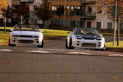 FEATURE: Easter Bunnies