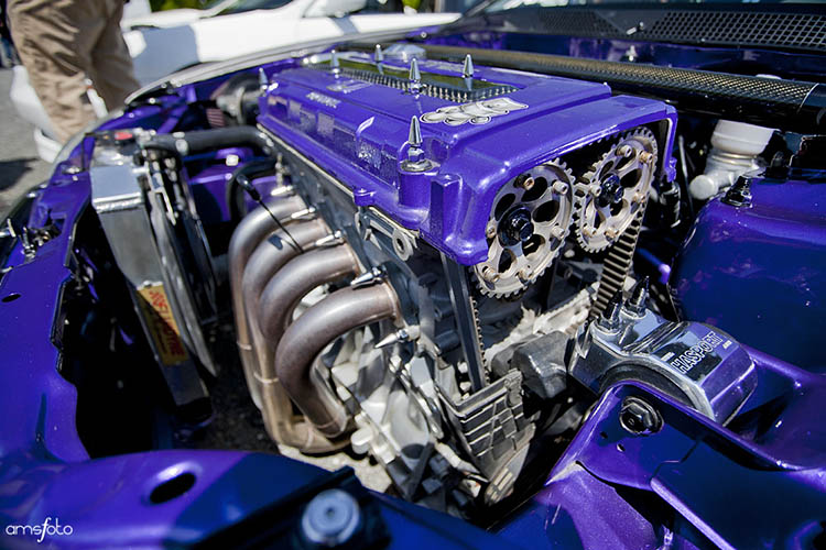 purple power tuned b18