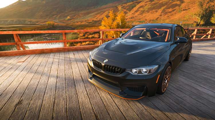 rarest car in forza horizon 5