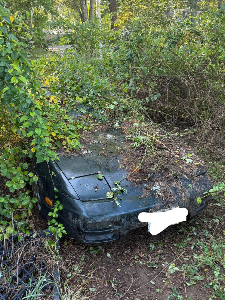 Forget Barn Finds, This 'Bush Find' Will Blow Your Mind - Image Forget Barn Finds, This 'Bush Find' Will Blow Your Mind - Image 7