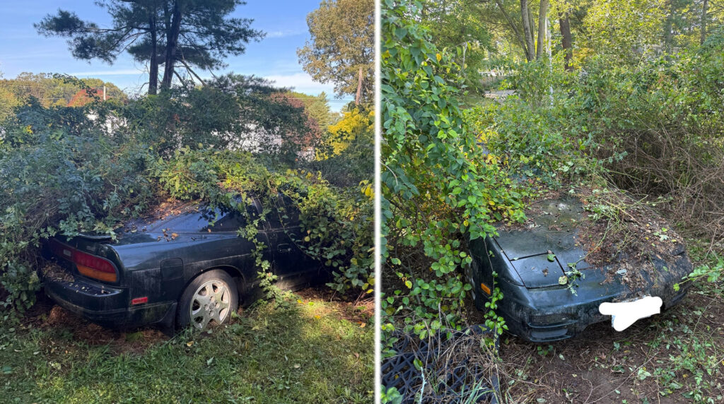 Forget Barn Finds, This 'Bush Find' Will Blow Your Mind - Image Forget Barn Finds, This 'Bush Find' Will Blow Your Mind - Image 6