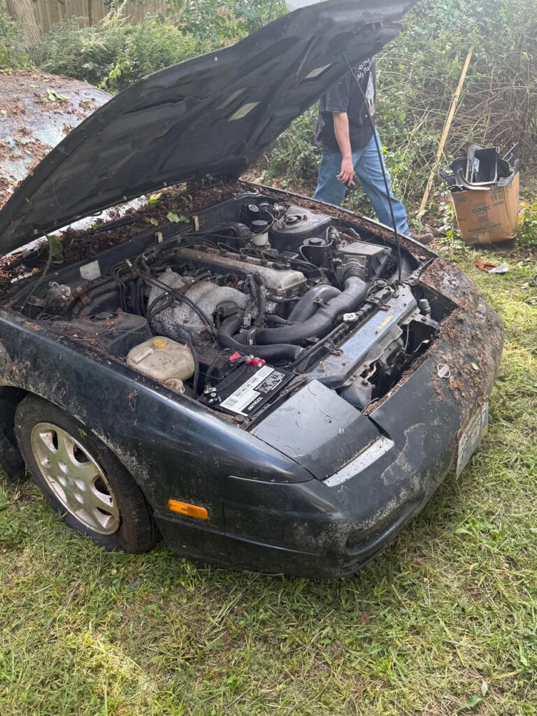 Forget Barn Finds, This 'Bush Find' Will Blow Your Mind - Image Forget Barn Finds, This 'Bush Find' Will Blow Your Mind - Image 11