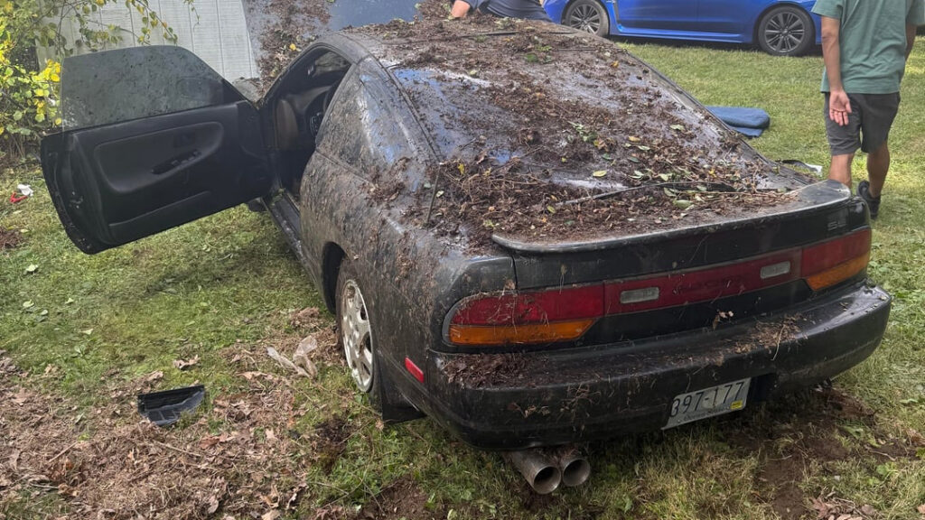 Forget Barn Finds, This 'Bush Find' Will Blow Your Mind - Image Forget Barn Finds, This 'Bush Find' Will Blow Your Mind - Image 9