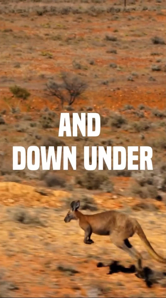 Gymkhana's Back: New Teaser Shows The Brataroo In Full Shred - Image 15